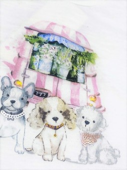 BIRBA BABY KOMPLET LETNI DLA DZIEWCZYNKI BLUZKA  PLUS SPODENKI  PIESKI 999 49052 00 50I12M