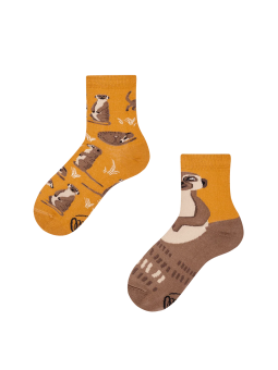 MANY MORNINGS SKARPETKI  KOLOROWE  SURYKATKI K48