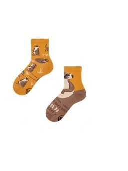 SKARPETKI MANY MORNINGS