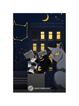 SKARPETKI MANY MORNINGS