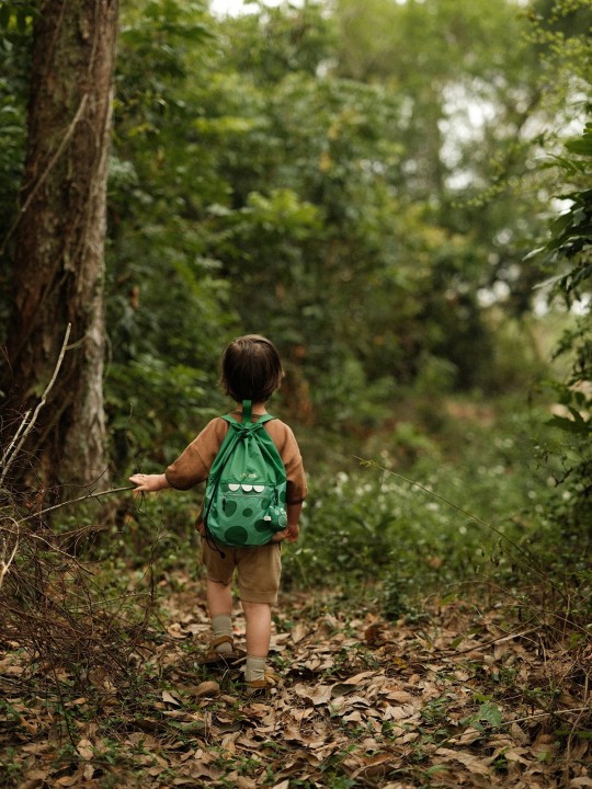 ZOYZOII  WOREK PLECAK ZIELONY DINOZAUR   WOREK3